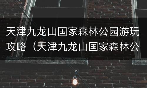天津九龙山国家森林公园游玩攻略（天津九龙山国家森林公园风景区）