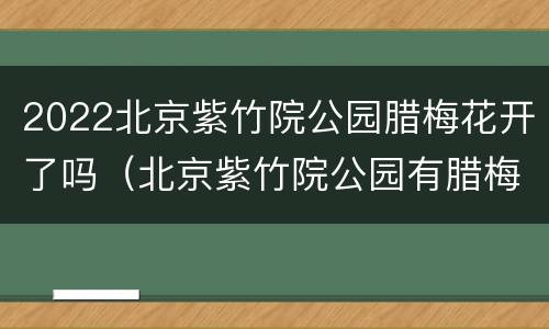 2022北京紫竹院公园腊梅花开了吗（北京紫竹院公园有腊梅花吗）