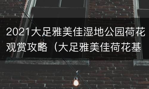 2021大足雅美佳湿地公园荷花观赏攻略（大足雅美佳荷花基地）