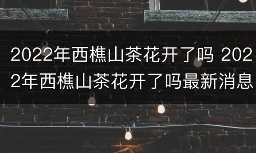 2022年西樵山茶花开了吗 2022年西樵山茶花开了吗最新消息