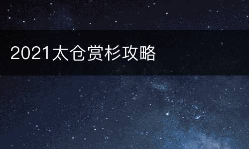 2021太仓赏杉攻略
