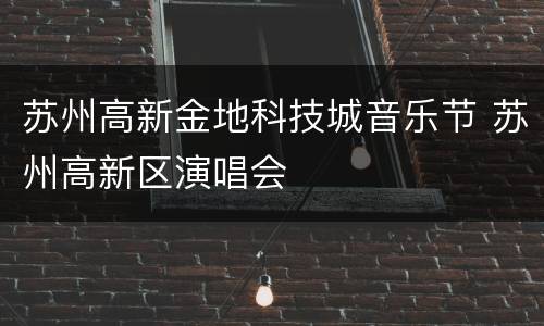 苏州高新金地科技城音乐节 苏州高新区演唱会