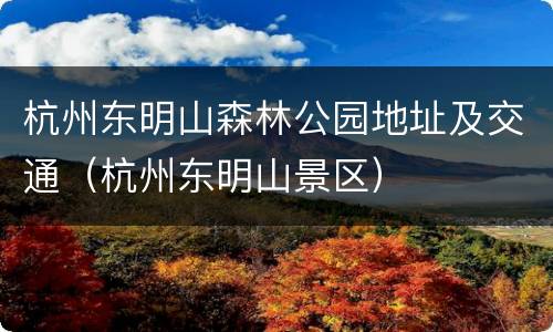 杭州东明山森林公园地址及交通（杭州东明山景区）