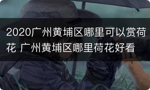 2020广州黄埔区哪里可以赏荷花 广州黄埔区哪里荷花好看