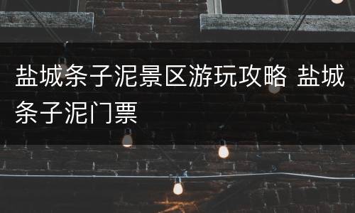 盐城条子泥景区游玩攻略 盐城条子泥门票