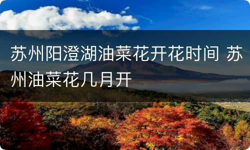 苏州阳澄湖油菜花开花时间 苏州油菜花几月开