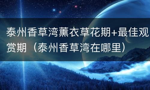 泰州香草湾薰衣草花期+最佳观赏期（泰州香草湾在哪里）