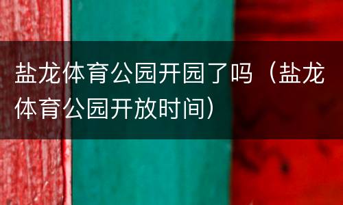 盐龙体育公园开园了吗（盐龙体育公园开放时间）