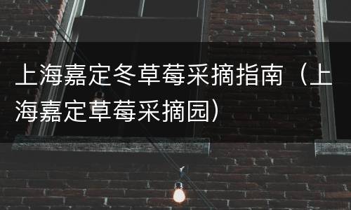 上海嘉定冬草莓采摘指南（上海嘉定草莓采摘园）