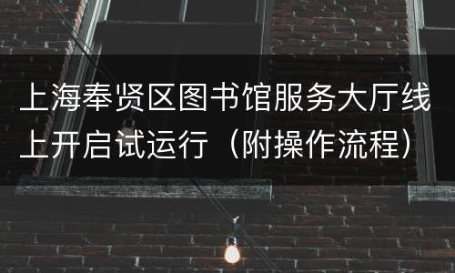 上海奉贤区图书馆服务大厅线上开启试运行（附操作流程）