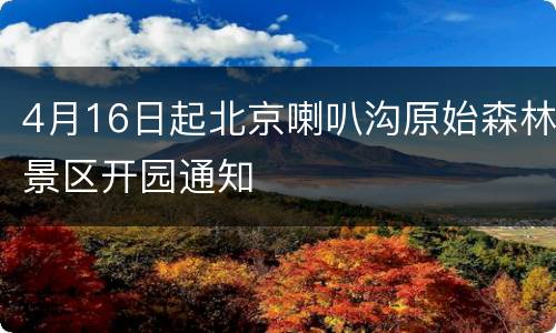 4月16日起北京喇叭沟原始森林景区开园通知