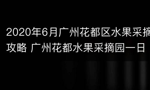 2020年6月广州花都区水果采摘攻略 广州花都水果采摘园一日游