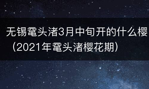 无锡鼋头渚3月中旬开的什么樱（2021年鼋头渚樱花期）