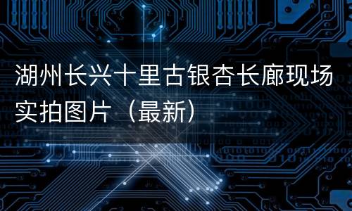 湖州长兴十里古银杏长廊现场实拍图片（最新）