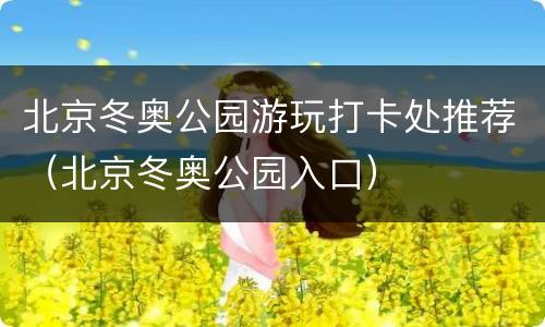 北京冬奥公园游玩打卡处推荐（北京冬奥公园入口）