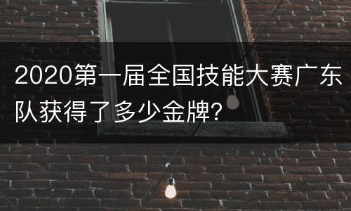 2020第一届全国技能大赛广东队获得了多少金牌？