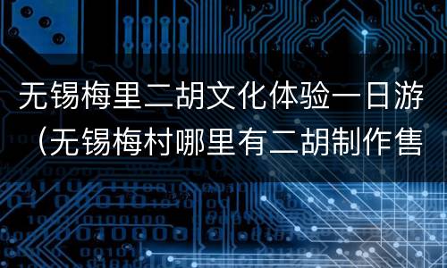 无锡梅里二胡文化体验一日游（无锡梅村哪里有二胡制作售卖点）