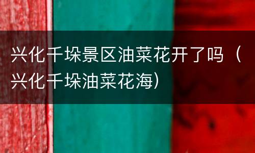 兴化千垛景区油菜花开了吗（兴化千垛油菜花海）