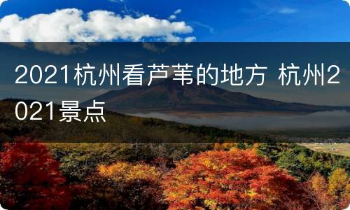 2021杭州看芦苇的地方 杭州2021景点