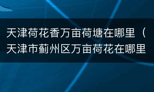 天津荷花香万亩荷塘在哪里（天津市蓟州区万亩荷花在哪里）