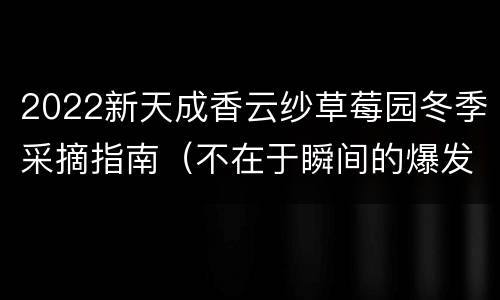 2022新天成香云纱草莓园冬季采摘指南（不在于瞬间的爆发在于途中的坚持）