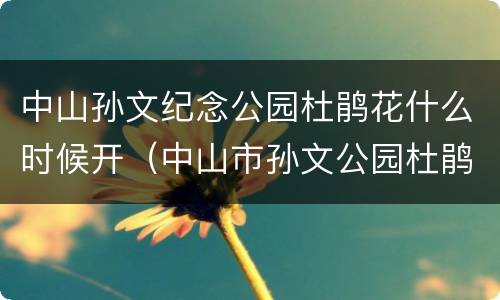 中山孙文纪念公园杜鹃花什么时候开（中山市孙文公园杜鹃花开了吗）