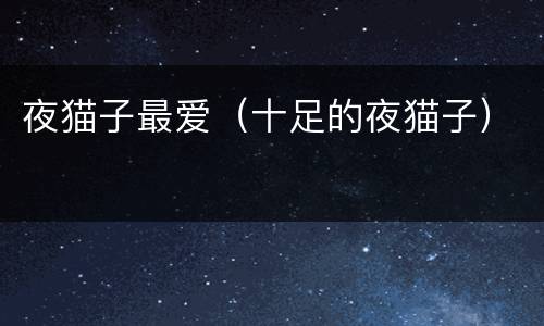 夜猫子最爱（十足的夜猫子）
