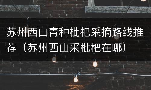 苏州西山青种枇杷采摘路线推荐（苏州西山采枇杷在哪）