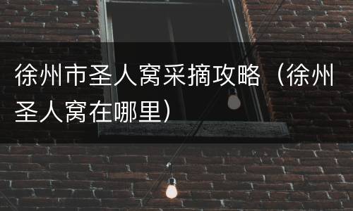 徐州市圣人窝采摘攻略（徐州圣人窝在哪里）