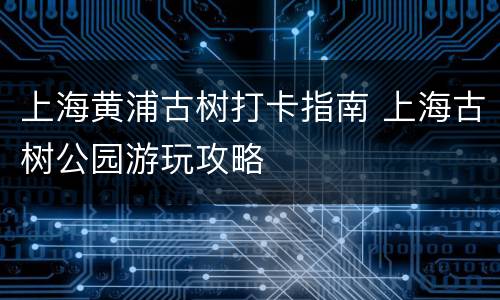 上海黄浦古树打卡指南 上海古树公园游玩攻略