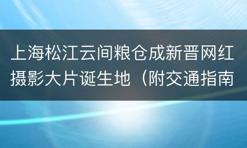 上海松江云间粮仓成新晋网红摄影大片诞生地（附交通指南）