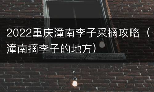 2022重庆潼南李子采摘攻略（潼南摘李子的地方）
