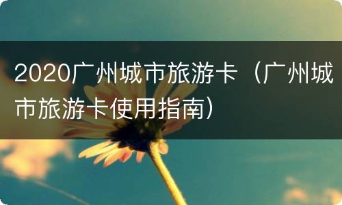 2020广州城市旅游卡（广州城市旅游卡使用指南）