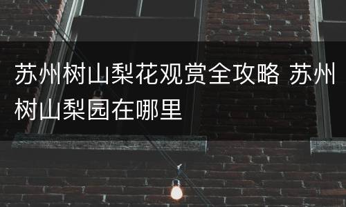 苏州树山梨花观赏全攻略 苏州树山梨园在哪里