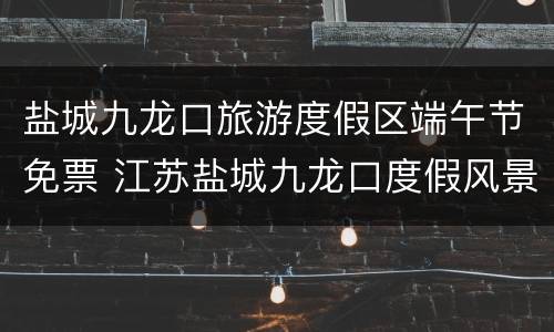 盐城九龙口旅游度假区端午节免票 江苏盐城九龙口度假风景区在哪里