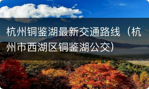 杭州铜鉴湖最新交通路线（杭州市西湖区铜鉴湖公交）