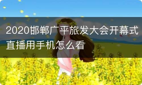 2020邯郸广平旅发大会开幕式直播用手机怎么看