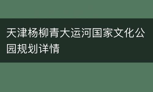 天津杨柳青大运河国家文化公园规划详情