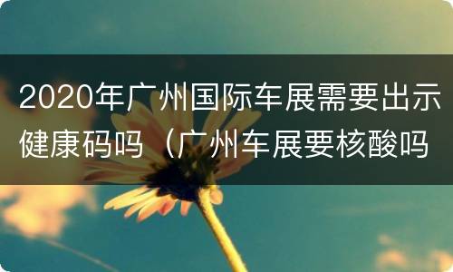 2020年广州国际车展需要出示健康码吗（广州车展要核酸吗）