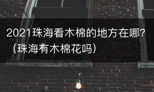 2021珠海看木棉的地方在哪？（珠海有木棉花吗）