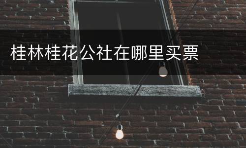 桂林桂花公社在哪里买票
