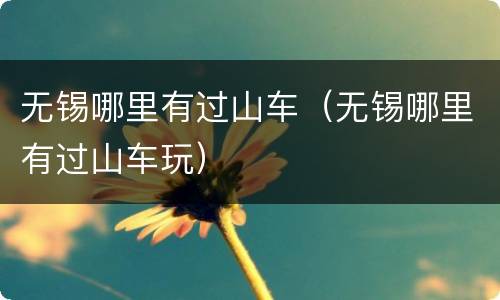 无锡哪里有过山车（无锡哪里有过山车玩）
