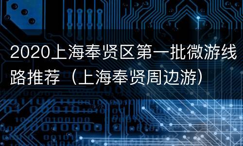 2020上海奉贤区第一批微游线路推荐（上海奉贤周边游）
