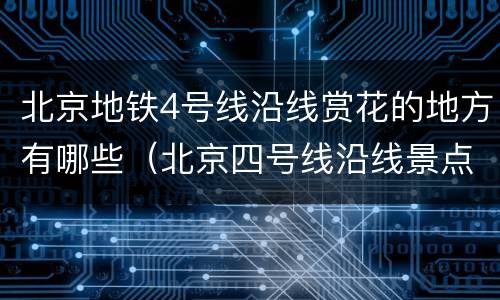 北京地铁4号线沿线赏花的地方有哪些（北京四号线沿线景点）