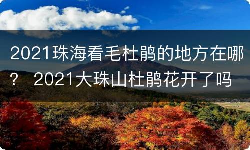 2021珠海看毛杜鹃的地方在哪？ 2021大珠山杜鹃花开了吗