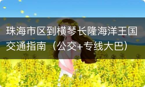 珠海市区到横琴长隆海洋王国交通指南（公交+专线大巴）