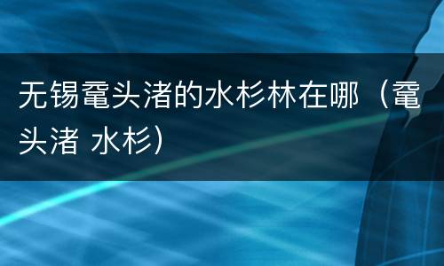 无锡鼋头渚的水杉林在哪（鼋头渚 水杉）