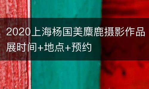 2020上海杨国美麋鹿摄影作品展时间+地点+预约