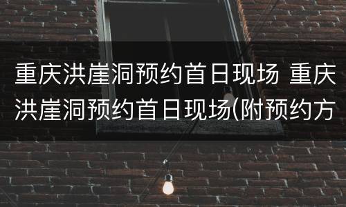 重庆洪崖洞预约首日现场 重庆洪崖洞预约首日现场(附预约方式