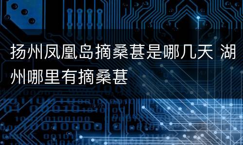 扬州凤凰岛摘桑葚是哪几天 湖州哪里有摘桑葚